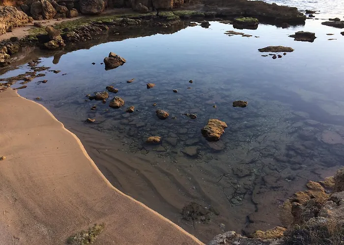 Catalan アパート アルゲーロ