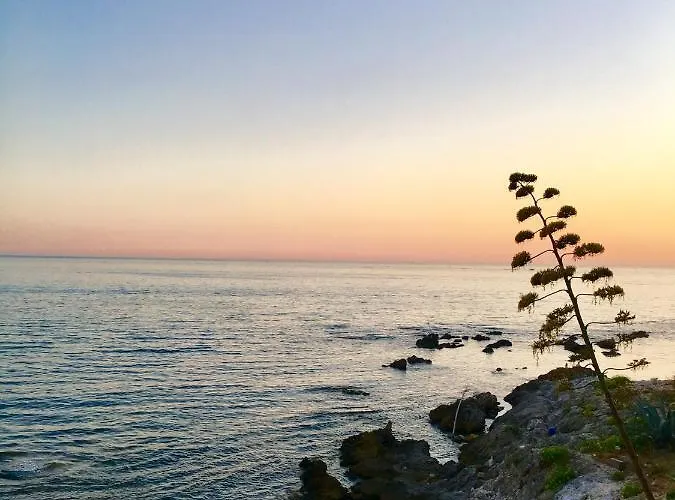 Catalan アパート