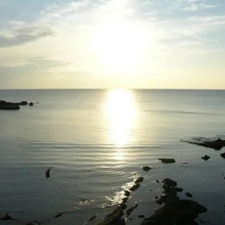 Catalan * Alghero