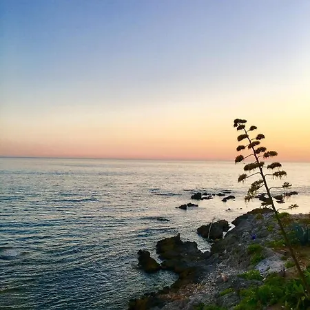 Catalan Διαμέρισμα